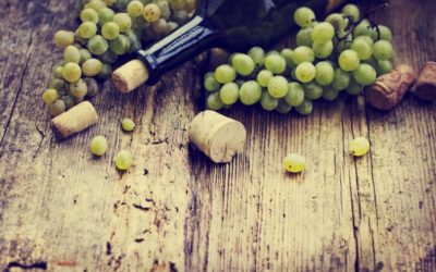 Sauvignon Blanc – Lisicza, Pécs