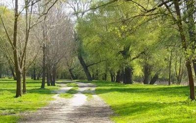 Lakótelep Kisorosziban, a Szigetcsúcson