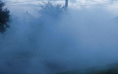 Szőnyegbombázás a szúnyogok ellen, 0.1%-os hatékonysággal